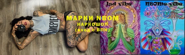 стаф Алексин