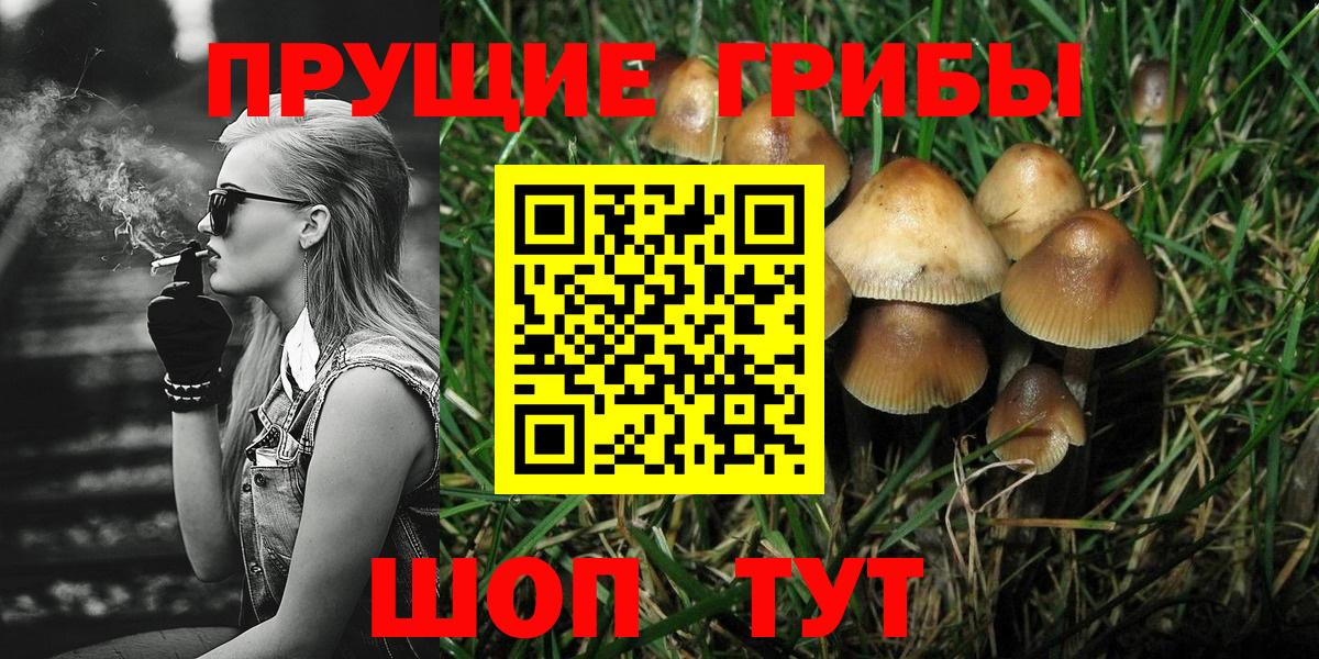 Псилоцибиновые грибы Cubensis Кирово-Чепецк