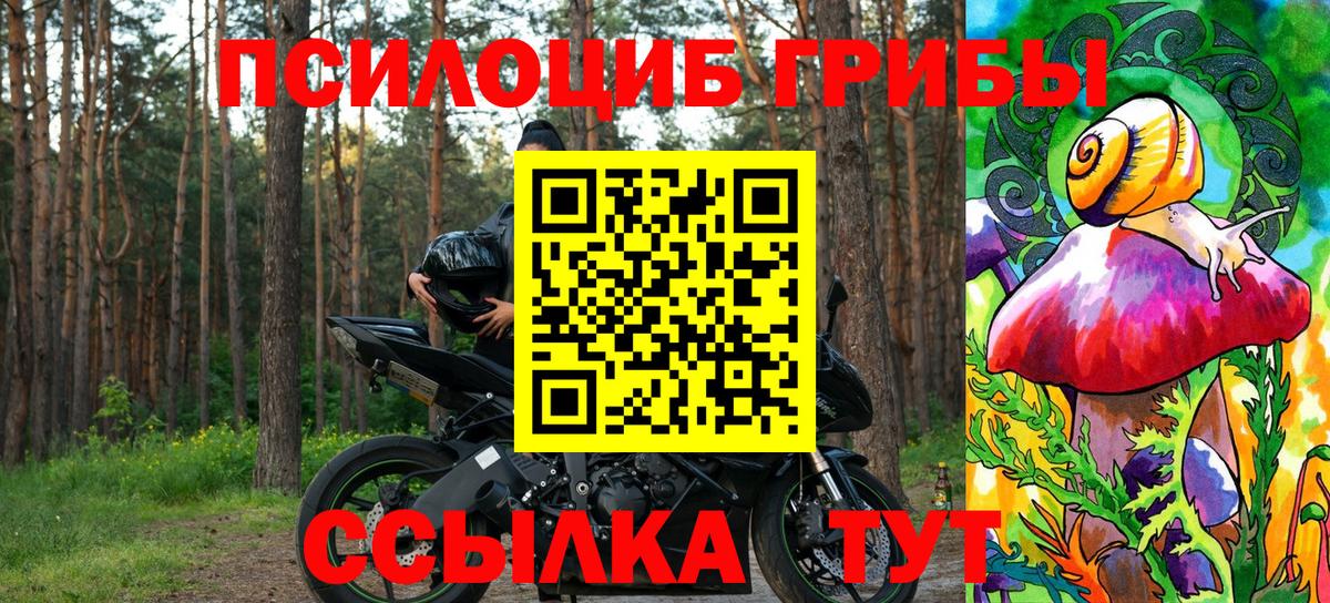 даркнет сайт  Галлюциногенные грибы Cubensis  Вход с VPN  Кирово-Чепецк 